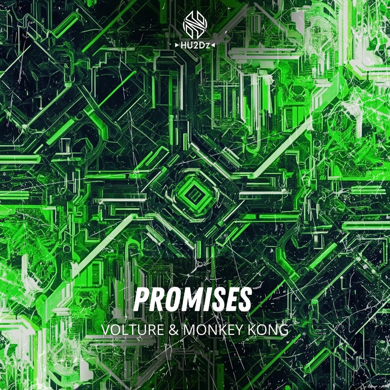 Volture & Monkey Kong - Promises (Extended Mix)
