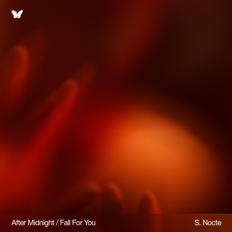 S. Nocte - Fall For You (Original Mix)