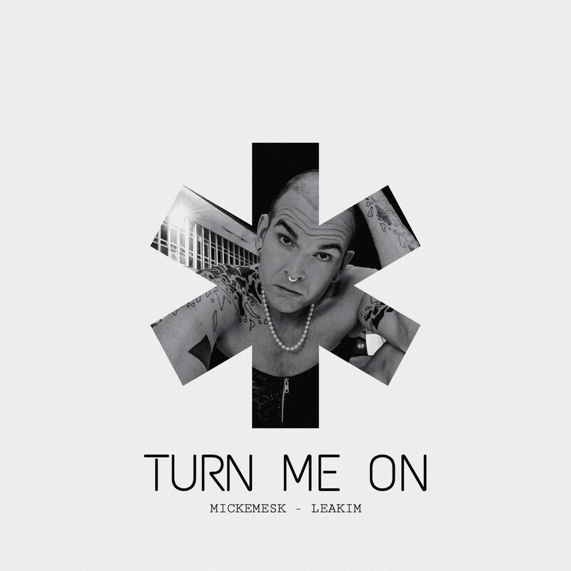Leakim & Mickemesk - Turn Me On (Original Mix)