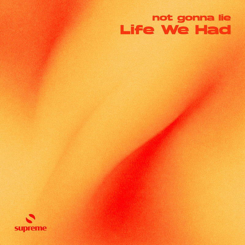 not gonna lie - Life We Had (Extended Mix)
