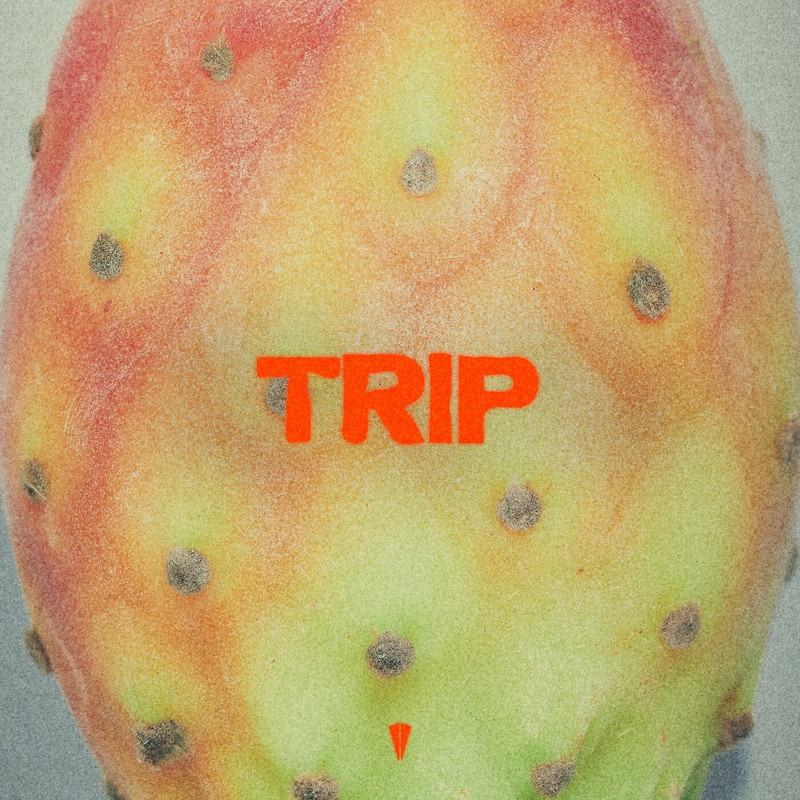 Konstantin Kobra - Trip (Original Mix)