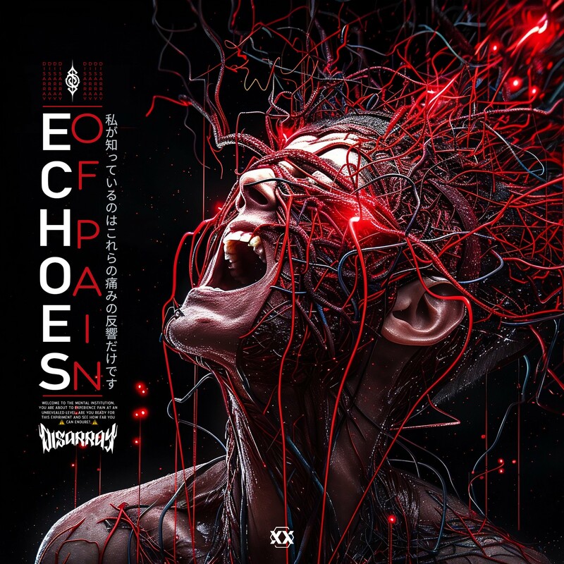 Disarray - Echoes Of Pain (Original Mix)