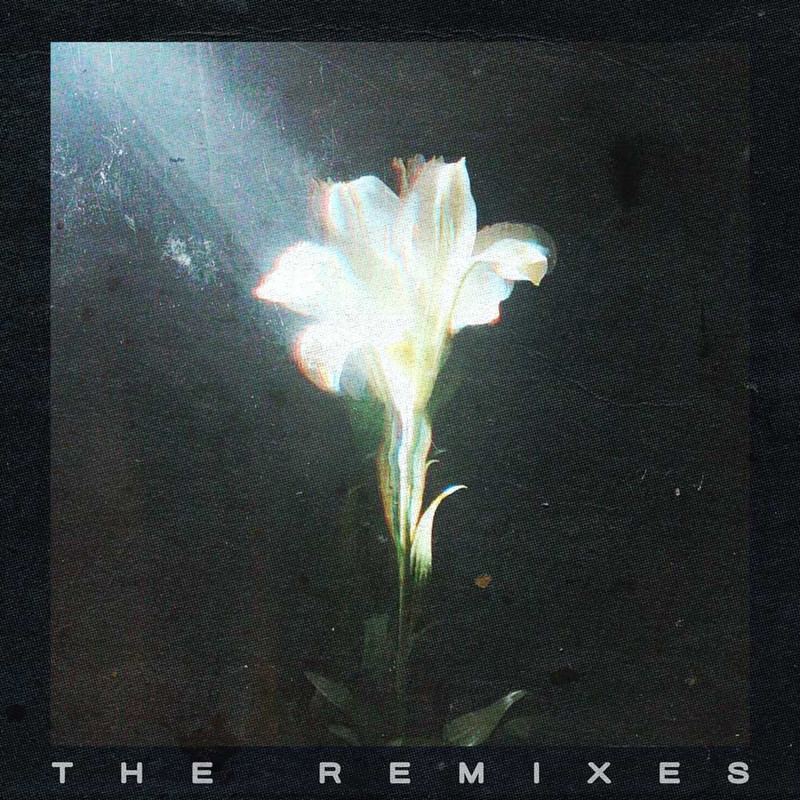 Netsky & Bebe Rexha - Light That Leads Me (Boris Way Extended Remix)