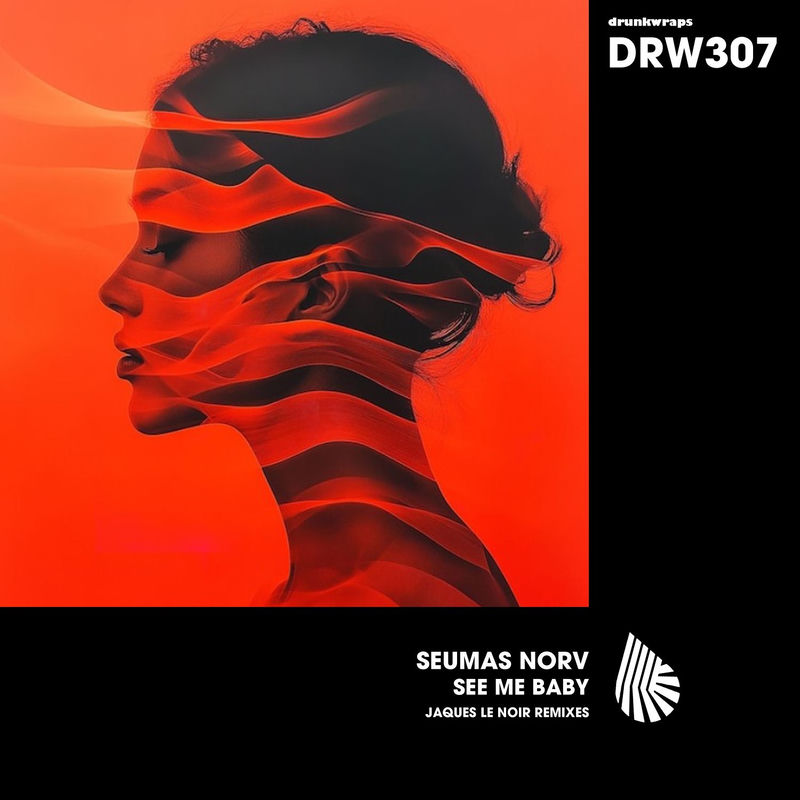 Seumas Norv - See Me Baby (Jaques Le Noir Remix)