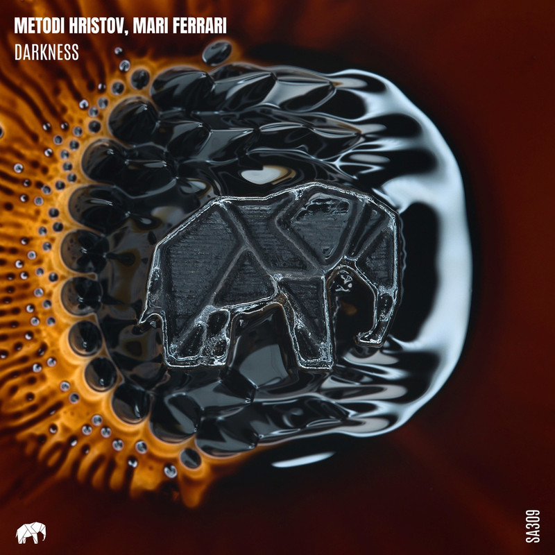 Metodi Hristov & Mari Ferrari - Darkness (Extended Mix)