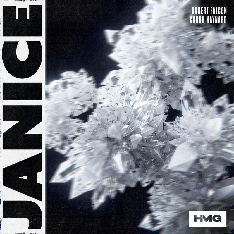 Robert Falcon & Conor Maynard - JANICE (Original Mix)