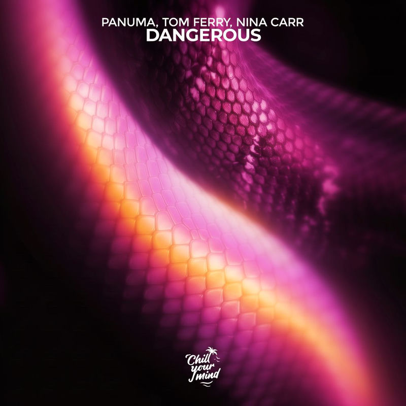Panuma, Tom Ferry & Nina Carr - Dangerous (Original Mix)