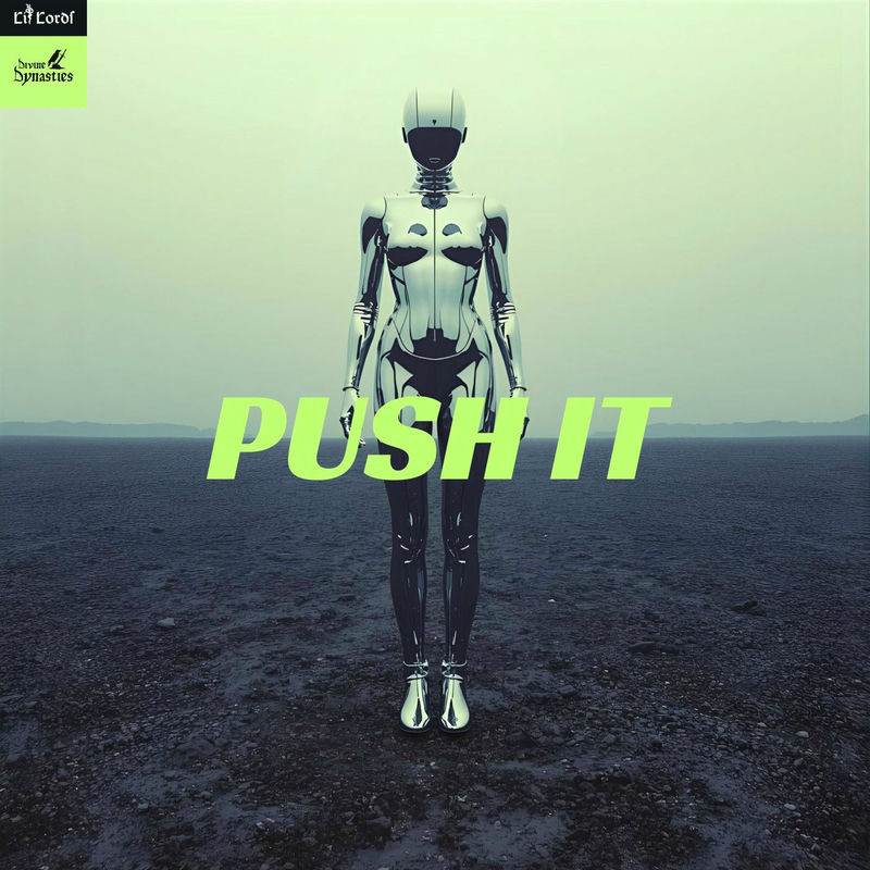 Lit Lords - Push It (Original Mix)