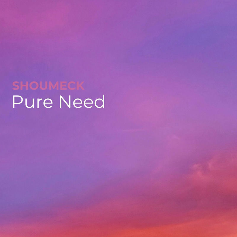 Shoumeck - Pure Need (Extended Mix)