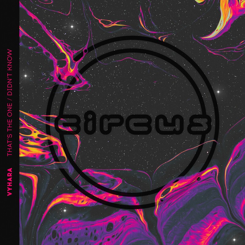 Vyhara - Didn't Know (Original Mix)