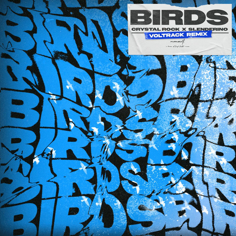 Crystal Rock & Slenderino - Birds (VolTrack Extended Remix)