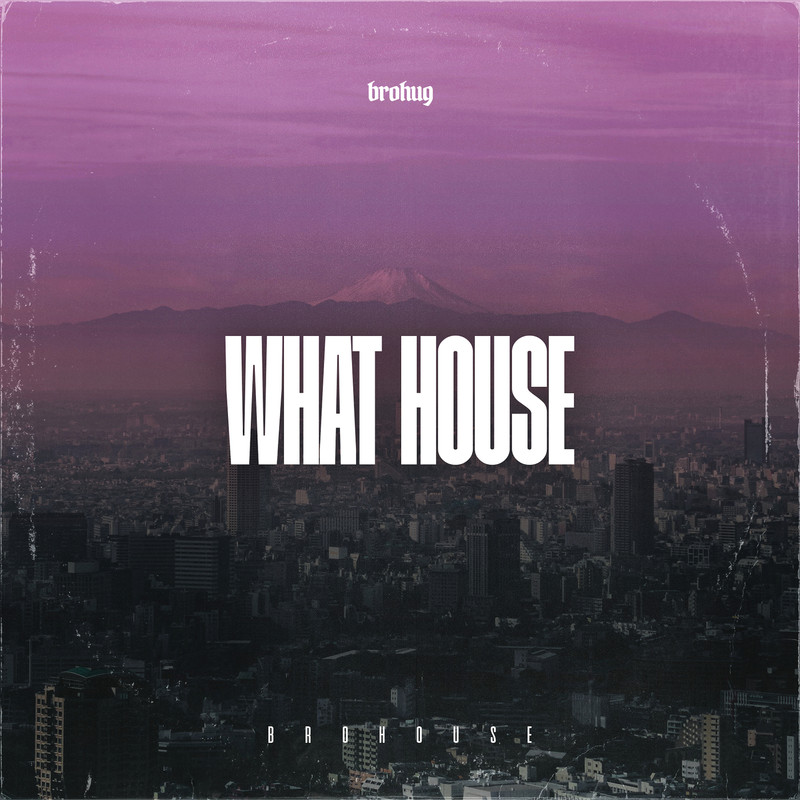 BROHUG - What House (Extended Mix)