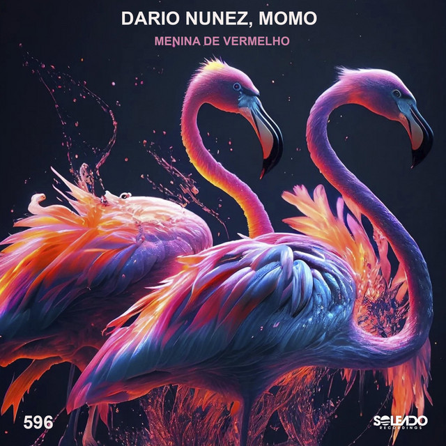 Dario Nunez, Momo - Menina de Vermelho (Original Mix)