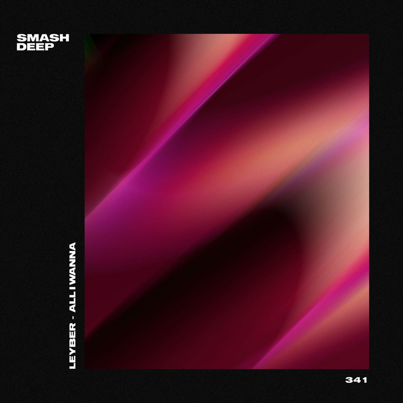 Leyber - All I Wanna (Extended Mix)