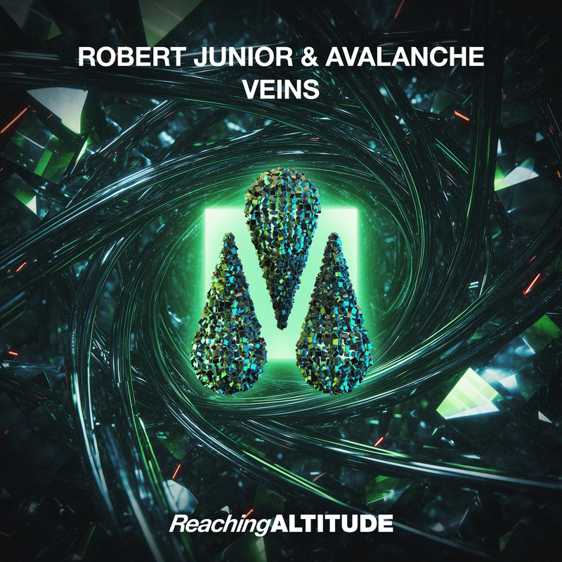 Robert Junior & Avalanche - Veins (Extended Mix)