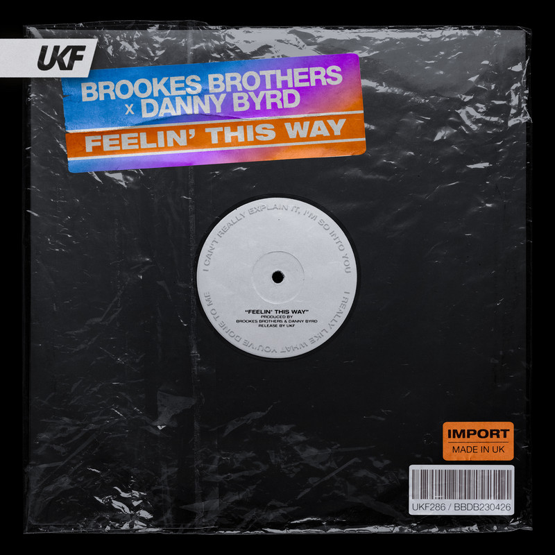Danny Byrd, Brookes Brothers - Feelin' This Way (Original Mix)