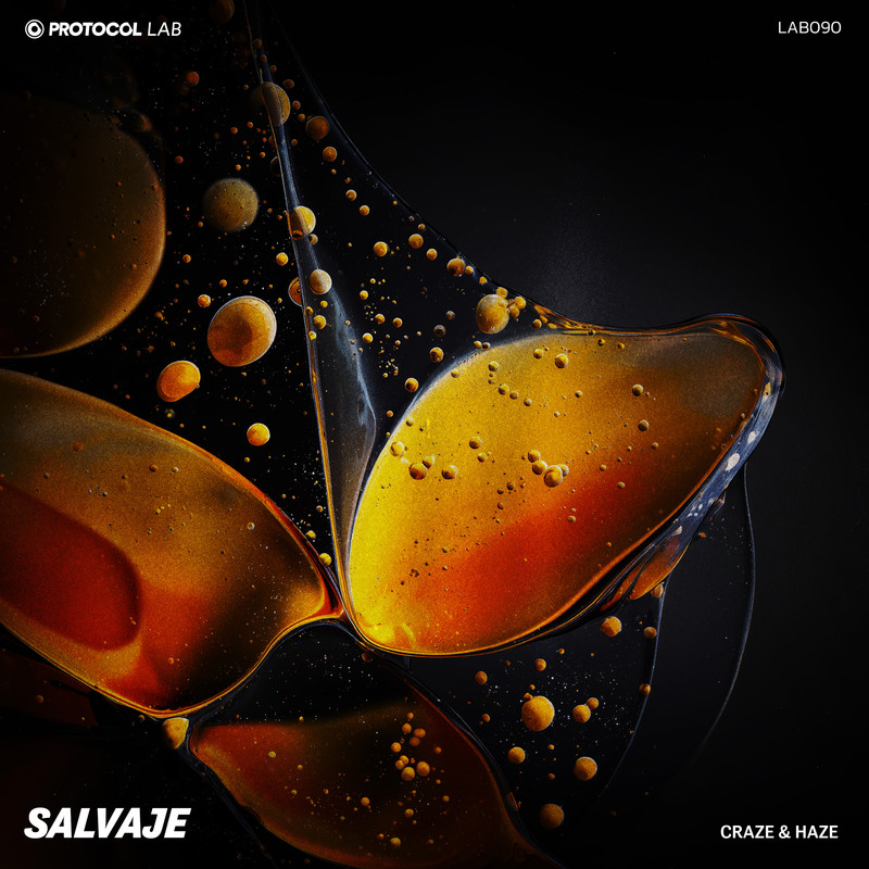 Craze & Haze - Salvaje (Extended Mix)