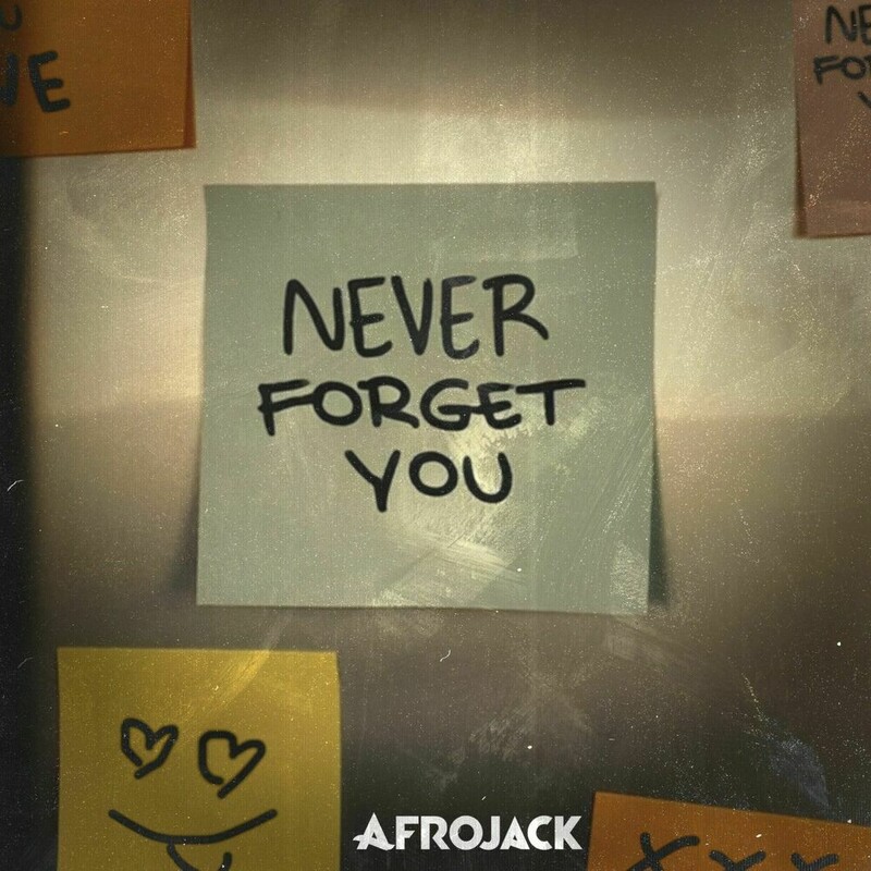 AFROJACK - Never Forget You (Original Mix)
