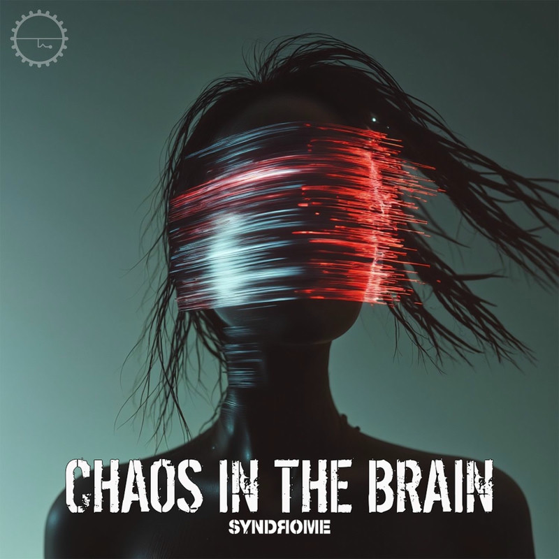 DJ Syndrome - Chaos in the Brain (Original Mix)