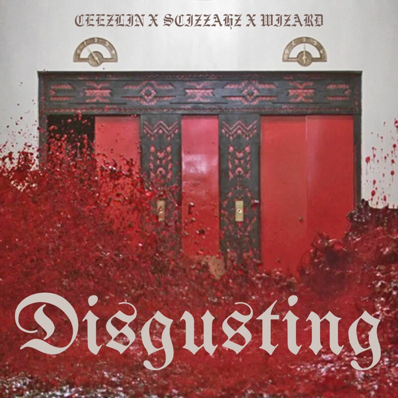 Scizzahz, Wizard & Ceezlin - Disgusting (Original Mix)