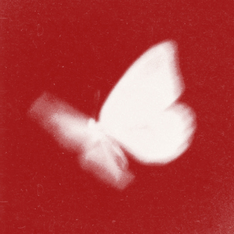 bradeazy & Crazy Town - Butterfly 2026 (Extended Mix)