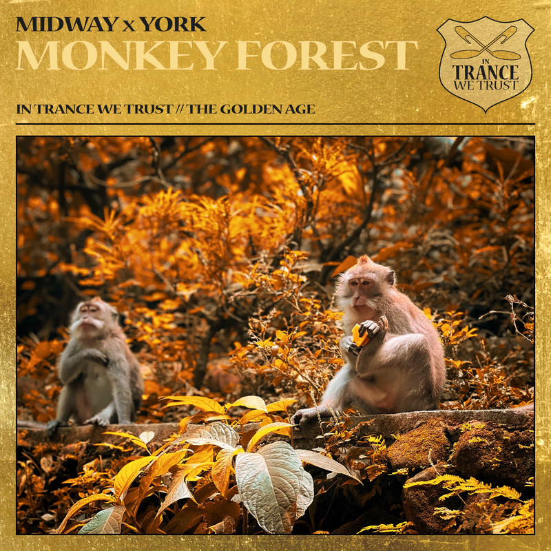 Midway & York - Monkey Forest (Extended Mix)