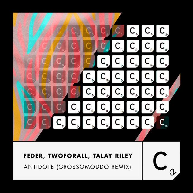 Feder Talay Riley & TwoForAll - Antidote (GROSSOMODDO Extended Remix)