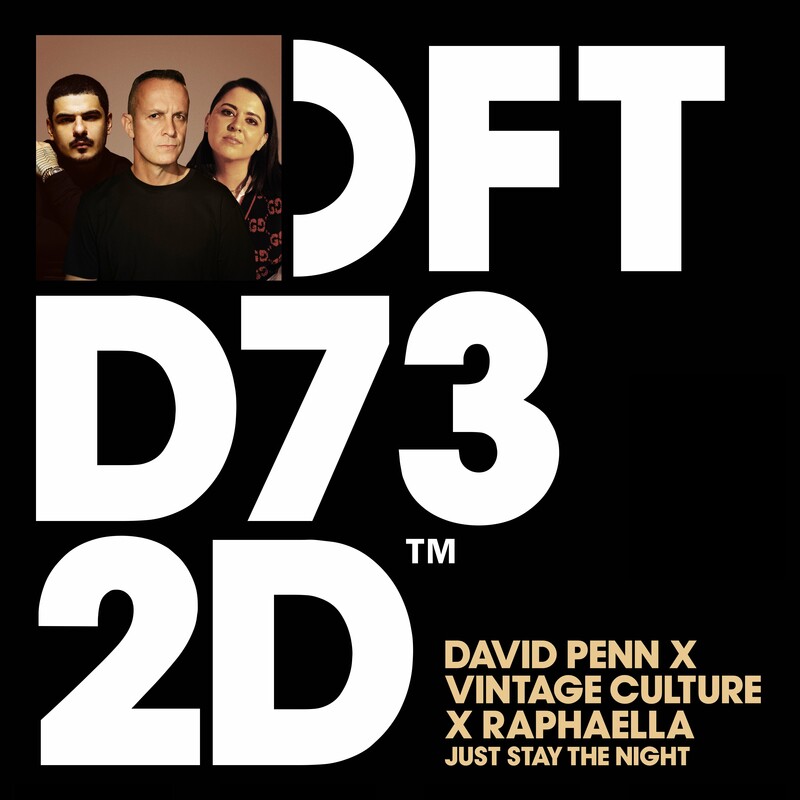 David Penn, Vintage Culture & Raphaella - Just Stay The Night (Original Mix)