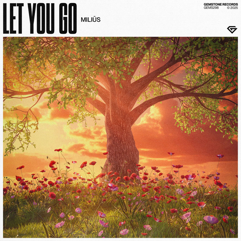 Miliūs - Let You Go (Extended Mix)