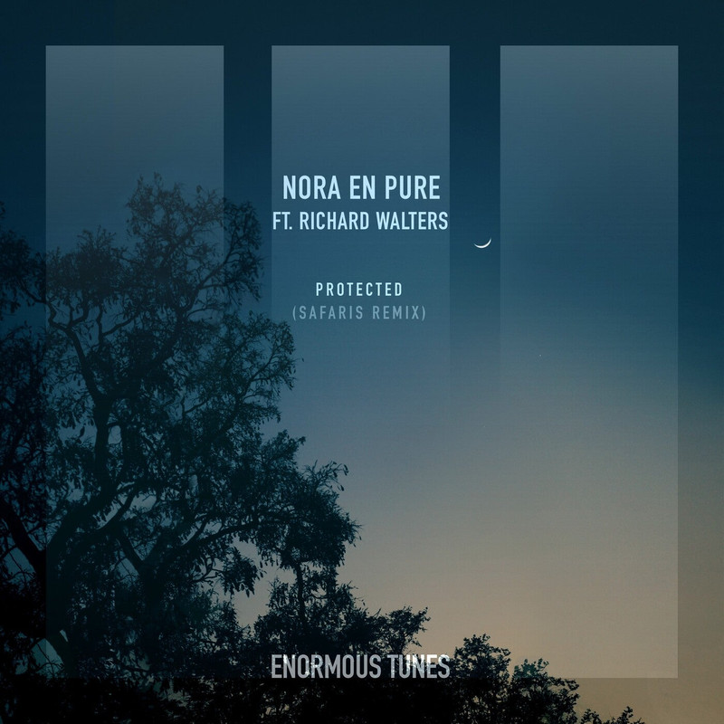 Nora En Pure & Richard Walters - Protected (SAFARIS Extended Remix)