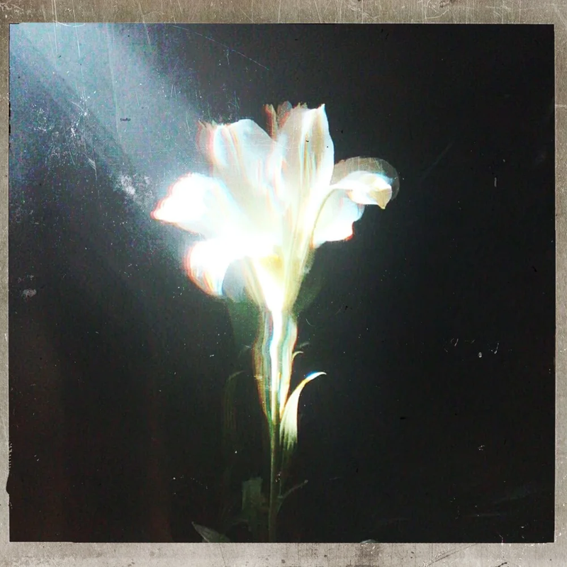Netsky - Light That Leads Me (with Bebe Rexha) (Original Mix)