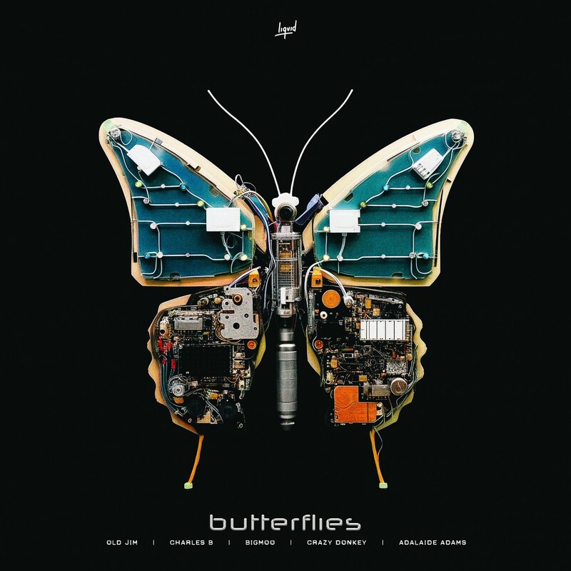 Old Jim, Charles B, Bigmoo & Crazy Donkey - Butterflies (feat. Adalaide Adams) (Original Mix)