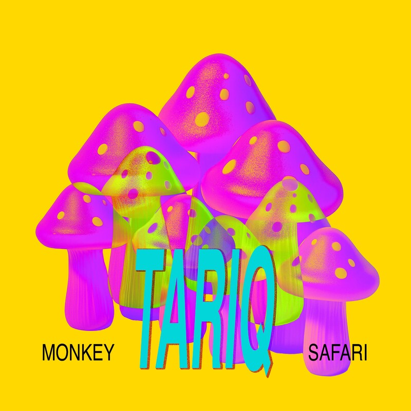 Monkey Safari - Tariq (Original Mix)