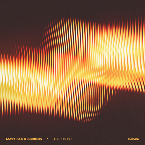 Matt Fax & 88Birds - High On Life (Extended Mix)