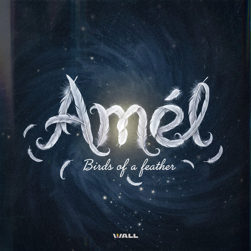 Amel - Birds Of A Feather (Extended Mix)