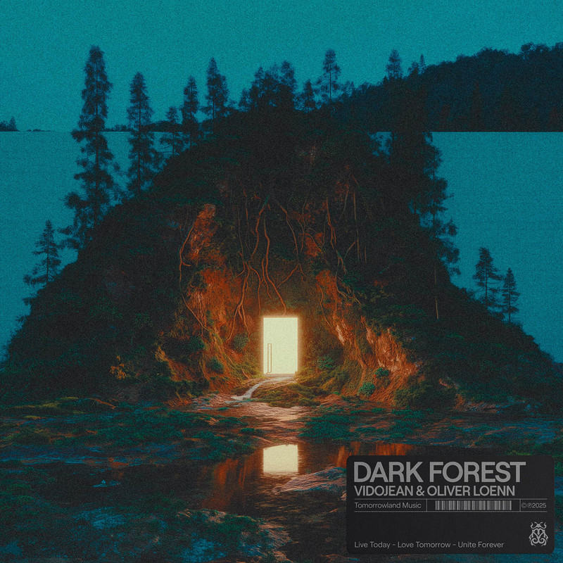 Vidojean X Oliver Loenn - Dark Forest (Original Mix)