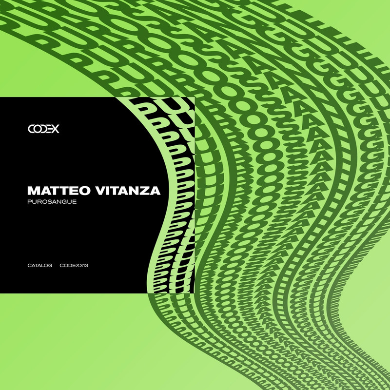 Matteo Vitanza - Somatic (Extended Mix)