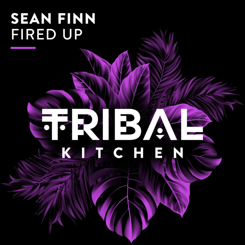 Sean Finn - Fired Up (Extended Mix)