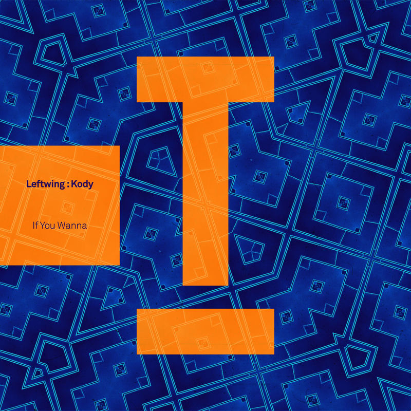 Leftwing Kody - If You Wanna (Original Mix)