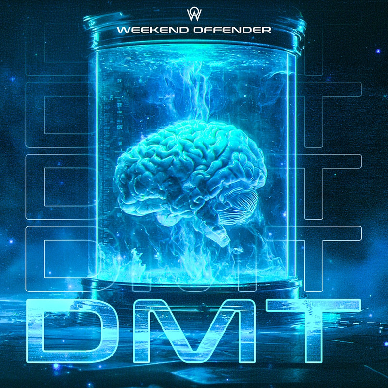 Weekend Offender - DMT (Original Mix)