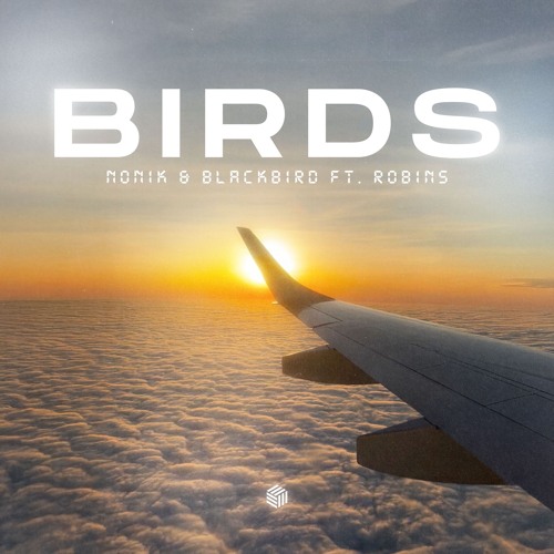 NONIK & blackbird - Birds (ft. ROBINS) [Extended Mix]