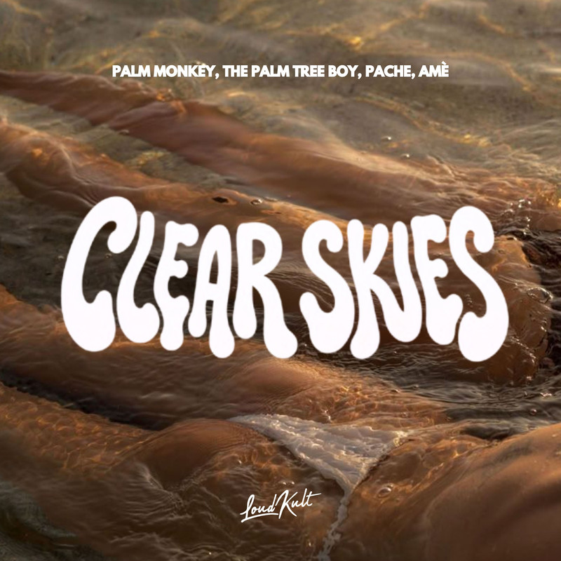 &Acirc;me, Pache, The Palm Tree Boy, Palm Monkey - CLEAR SKIES (Original Mix)