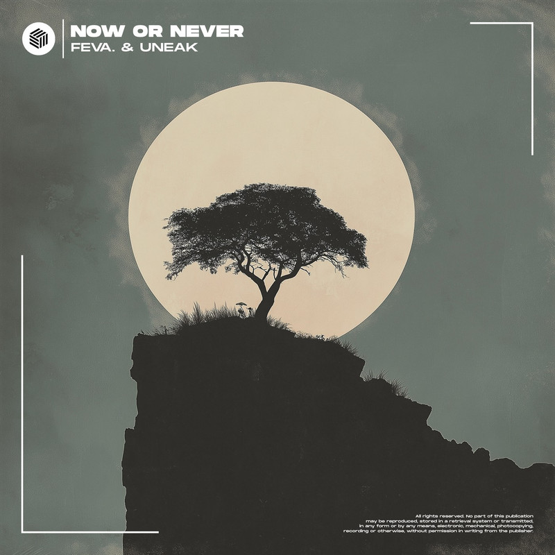 feva. & Uneak - Now or Never (Extended Mix)