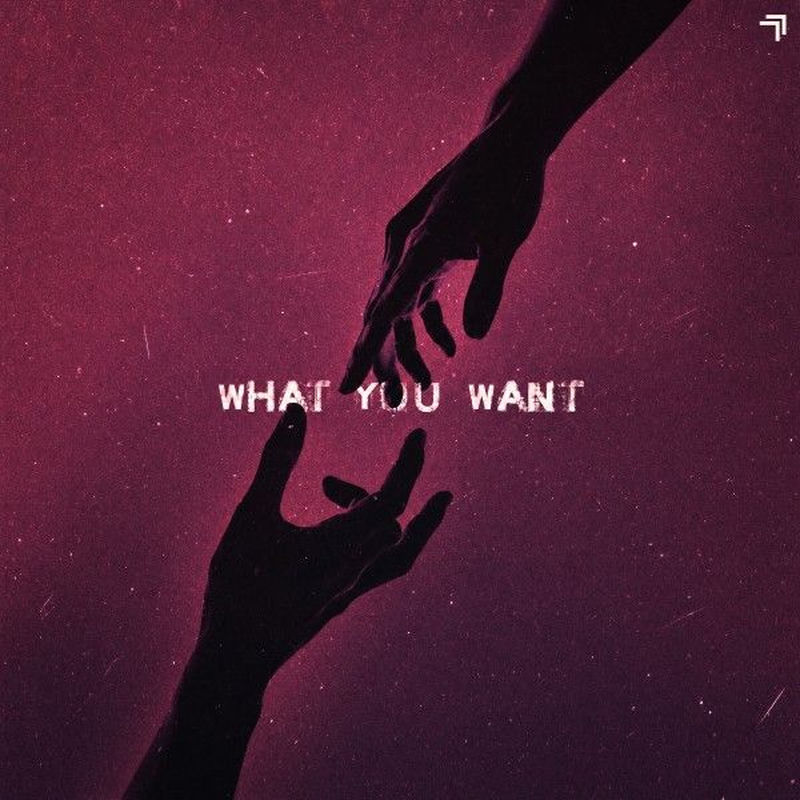 GAMPER & DADONI, Tribbs, Mikus & Darla Jade - What You Want (Original Mix)