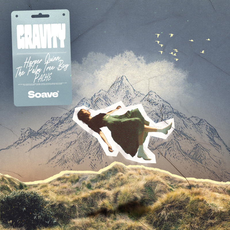 Harper Quinn & The Palm Tree Boy & PACHE - Gravity (Original Mix)