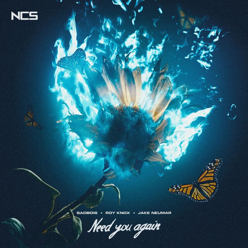 SadBois, ROY KNOX & Jake Neumar - Need You Again (Original Mix)