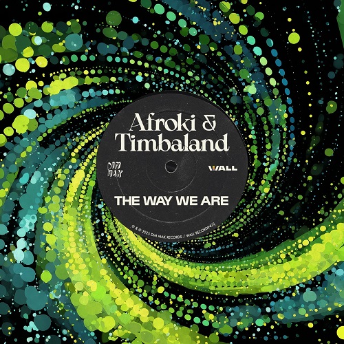 AFROKI feat. Timbaland - The Way We Are (Extended Mix)