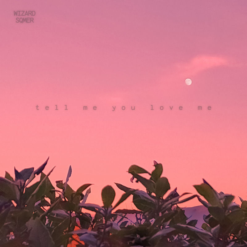 Wizard & sqmer - Tell Me You Love Me (Original Mix)