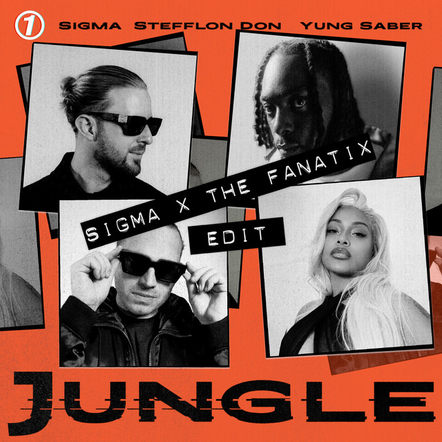 Stefflon Don - JUNGLE (Sigma x The FaNaTiX Edit)