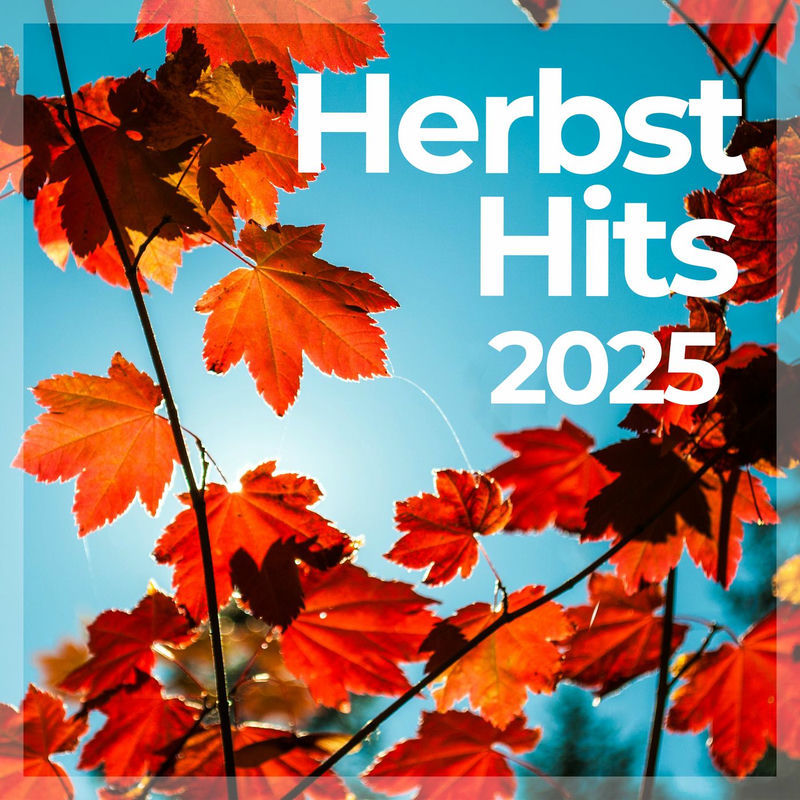 HUGEL, Dawty, Preston Harris - Loosen Up (BENJAMIN BLUES Remix)